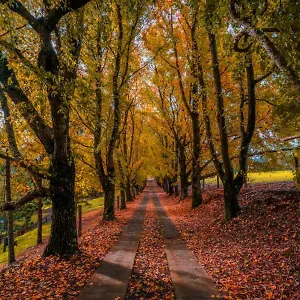 Country Estate , Maleny Australia